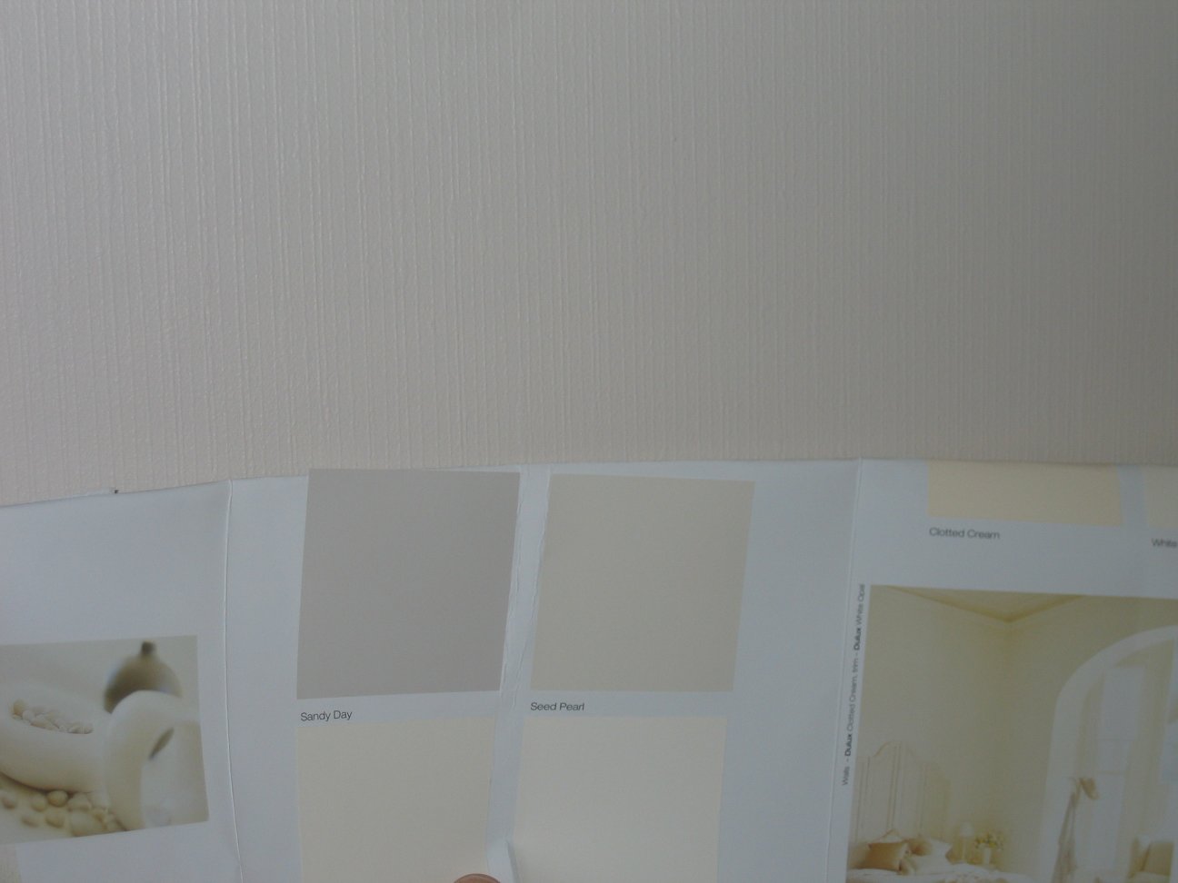 Seed Pearl Paint Color Ideas Seed Pearl Paint Color Ideas